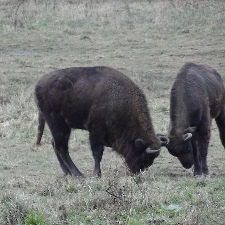 Agroturystyka Zywe Kruklanki Bagian luar foto
