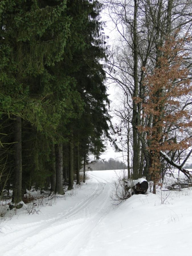 Agroturystyka Zywe Kruklanki Bagian luar foto