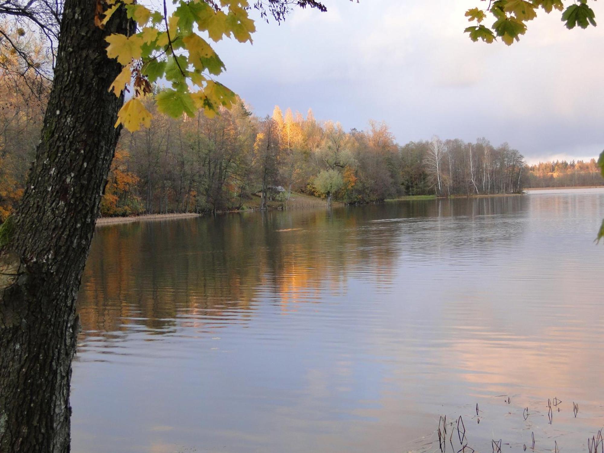 Agroturystyka Zywe Kruklanki Bagian luar foto