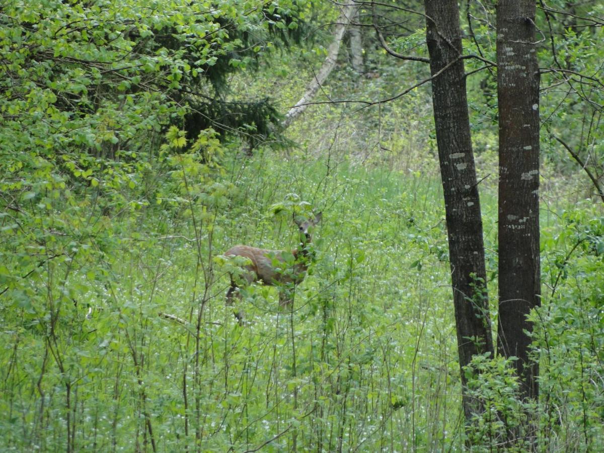 Agroturystyka Zywe Kruklanki Bagian luar foto