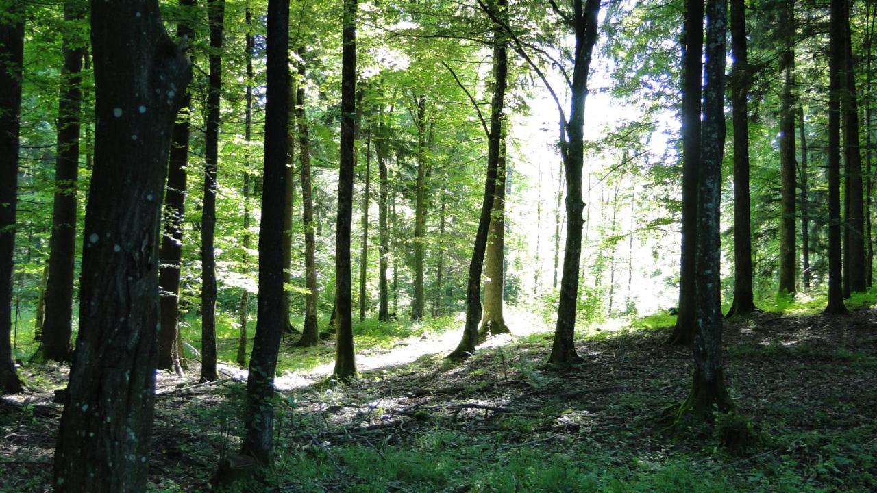 Agroturystyka Zywe Kruklanki Bagian luar foto