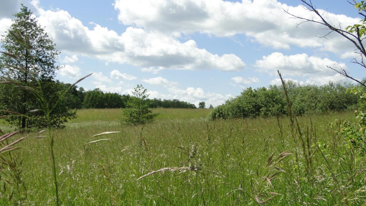 Agroturystyka Zywe Kruklanki Bagian luar foto