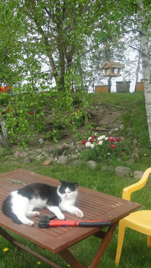 Agroturystyka Zywe Kruklanki Bagian luar foto