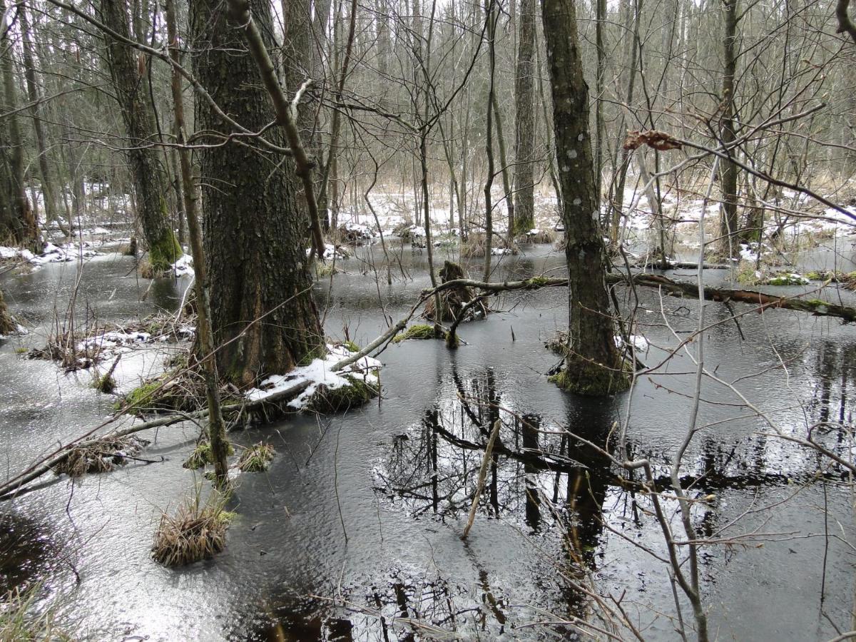 Agroturystyka Zywe Kruklanki Bagian luar foto