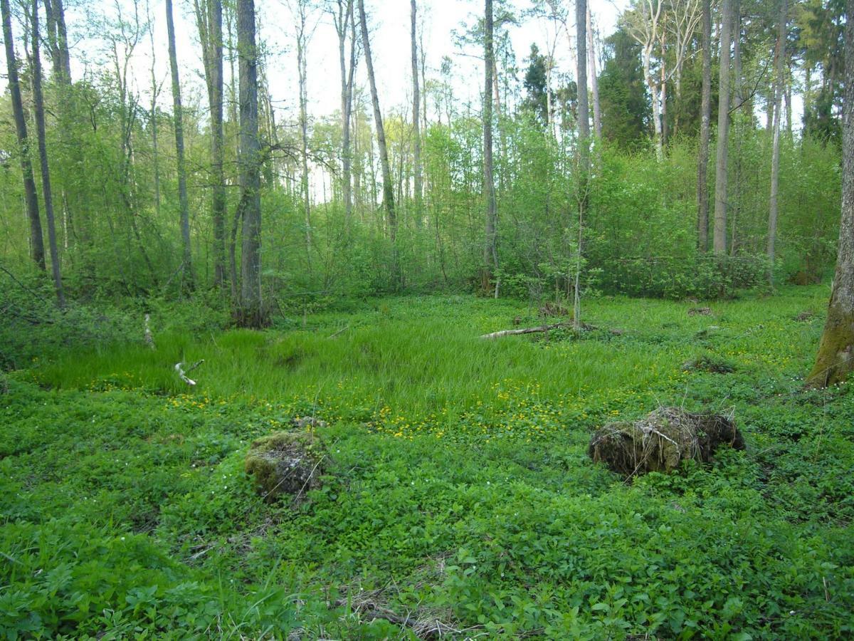 Agroturystyka Zywe Kruklanki Bagian luar foto